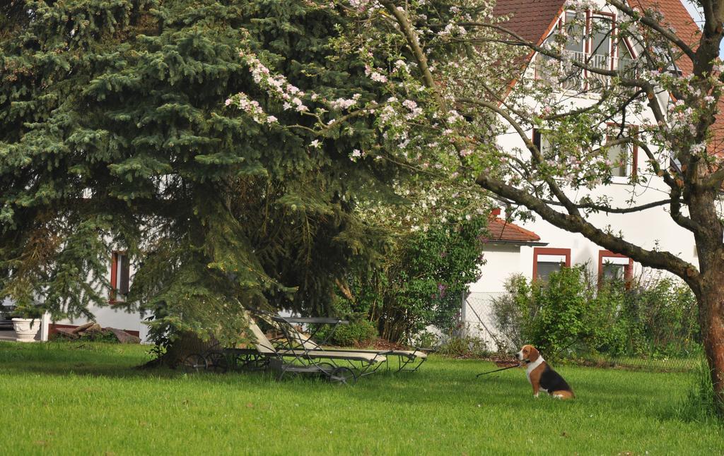 Häuser der Villa Italia Marktheidenfeld Exterior foto